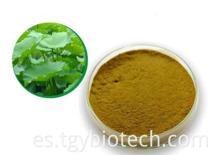 Nuciferine Powder